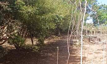 Imagem 2: Chácara 6.000m² - Sitio Recreio Savanah Hidrolândia Chácara à Venda, 6000.00 por R$ 750000