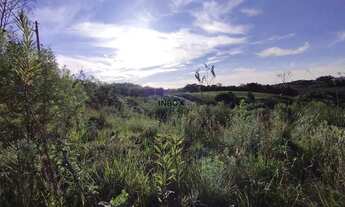 Imagem: ÓTIMO TERRENO DE ESQUINA EM LOTEAMENTO