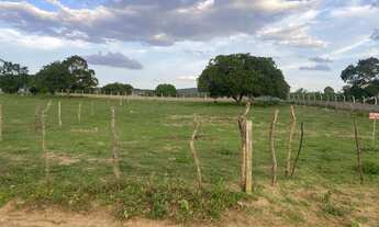 Imagem 2: Localização privilegiada pra venda excelente para fazer sua chácara ou sítio