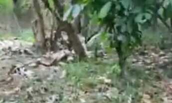 Imagem 4: Terreno 600m² com Casa + Contrato - 20min da Praia! Aceito Negociação