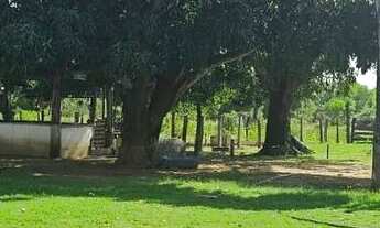 Imagem 3: Fazenda no Pantanal Barão de Melgaço (MT) 12.649 HA, cria, recria e engorda, beira do Ri
