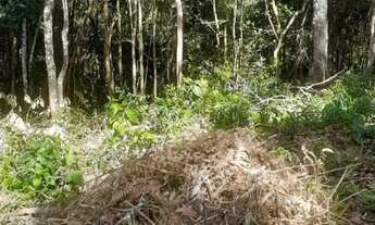 Imagem 3: Vende-se terreno Para sítio em Aruja