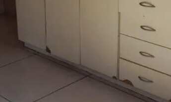 Imagem 7: ALUGO CASA SOZINHA NO TERRENO