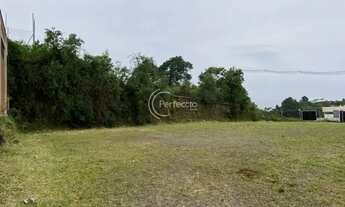 Imagem 4: Terrenos - Jardim Eldorado