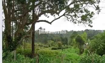 Imagem 2: EMBU-GUAÇU - CIPÓ DO MEIO - TERRENO COM 54.330.12M²