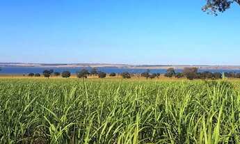 Imagem 6: FAZENDA NO MUNICÍPIO DE QUIRINÓPOLIS - 140 ALQUEIRES