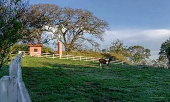 Imagem 5: Chácara à venda em Campinas, Loteamento Residencial Entre Verdes (Sousas), com 4 suítes