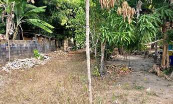 Imagem: SB- Vendo Sítio, na Maiobinha