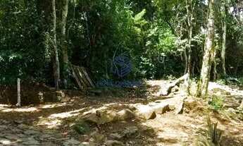 Imagem 3: Área à venda, 3000 m² por R$ 950.000 - Siriúba - Ilhabela/SP