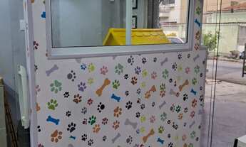 Imagem 3: Passo Ponto loja Vila da Penha