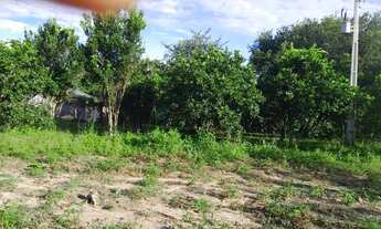 Imagem 7: Sítio de 18 hectares (7,5 alqueires) na região da cidade de Comodoro MT