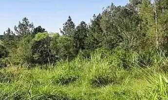 Imagem 5: Lote em Travessa Sapiranga - Recanto Corcunda - Gravataí/RS