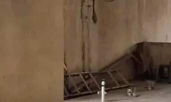 Imagem: Sobrado comercial em fase de acabamento