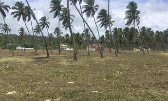 Imagem 3: Terreno Beira-Mar - 907,5 m²