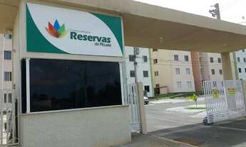 Imagem: Reserva Picuaia