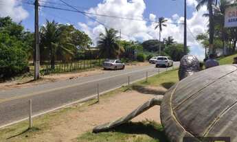 Imagem 2: Junior creci-4745 - OPORTUNIDADE - Venda - Terreno em Frente ao Mirante dos Golfinhos - 5