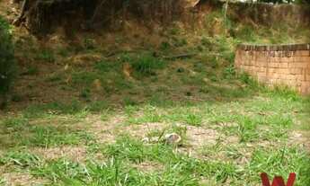 Imagem 3: Terreno - Colinas do Ermitage (Sousas) - Campinas