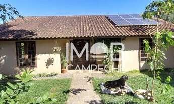 Imagem 3: Casa térrea, 128m² de área construída em amplo terreno de 501m², opção ideal para quem pro