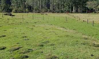 Imagem 3: Chácara 4,9 hectares potreiro e açúde