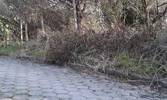 Imagem 6: Terreno com 4.017 m² na Praia da Siriúba, em Ilhabela