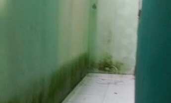 Imagem 6: Apartamento térreo 2 quartos