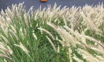 Imagem 3: XANGRI-Lá - Terreno Padrão - Condominio Sunset Xangri-la