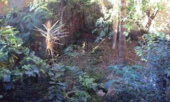 Imagem 4: VENDE - SOBRADO - BELA VISTA