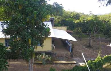 Imagem 4: Oportunidade! Fazenda De Eucalipto Ou Gado A Venda em Pirenópolis - Go