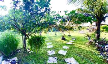 Imagem 6: ÓTIMA FAZENDA. codigo: 29284