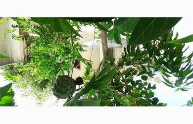 Imagem 5: Casa de repasse no bairro Quinta das Figueiras - Extremoz