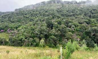 Imagem 2: Anitapolis - Alfredo Wagner vendo sítio