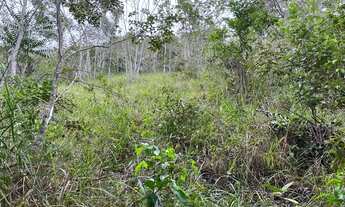 Imagem 5: FAZENDA EM MATA DE SÃO JOÃO EXCEPCIONAL LOCALIZAÇÃO OPORTUNIDADE