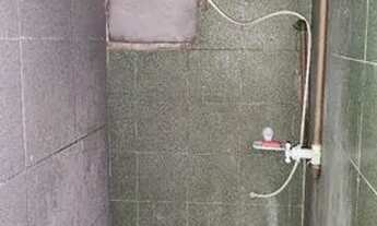 Imagem 2: Alugo casa - 2/4 e outras de 1/4