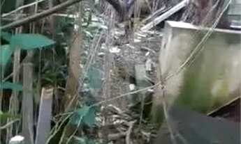 Imagem 6: AMPLO TERRENO SA SANTA TERESINHA