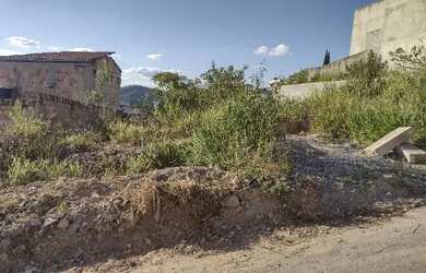Imagem 2: Meio Lote Perola Negra Santa Luzia