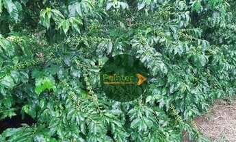 Imagem 4: Fazenda à venda, 3949439 m² por R$ 12.000.000 - Turvolandia - Turvolândia/MG