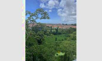 Imagem 7: Apartamento mobiliado para locação no condomínio Parque Sun Garden