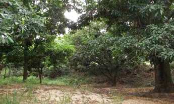 Imagem 7: Chácara de + ou - 1.100m² riacho nos fundos terra de cultivo Jaboticatubas