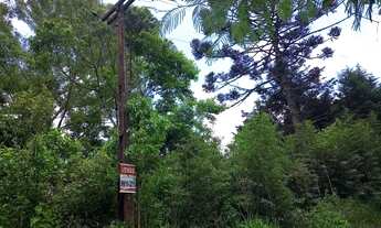 Imagem: Sítio / Chácara para Venda em Bocaiúva