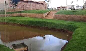 Imagem 5: Chácara em Goianira