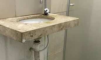 Imagem 7: Barracão no BOA VISTA