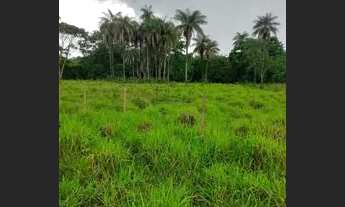 Imagem 5: FAZENDA NO MUNICÍPIO DE CABECEIRAS DE GOIÁS