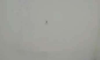 Imagem 7: Alugo casa nos fundos para mulheres solteiras