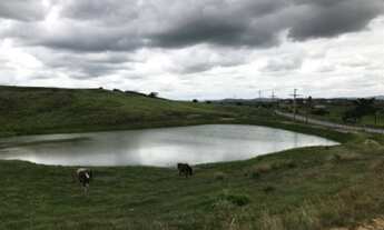 Imagem: Vendes Fazenda com 220 hectares