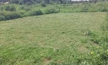 Imagem: Terreno medindo 8 por 25 em paço do lumiar