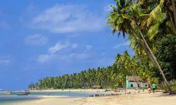 Imagem 6: Apartamento Studio na Praia dos Carneiros - Tamandaré - PE \ FDC