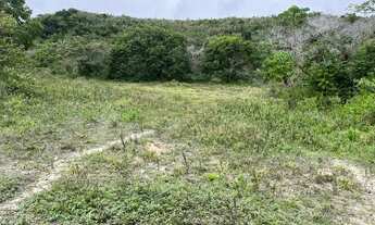 Imagem 3: FAZENDA EM MATA DE SÃO JOÃO EXCEPCIONAL LOCALIZAÇÃO OPORTUNIDADE