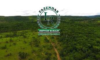 Imagem 3: Fazenda 216 Alqueires Bruta Luzimangues