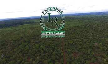 Imagem 4: Fazenda 216 Alqueires Bruta Luzimangues