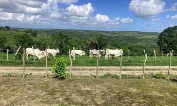 Imagem: Sítio Branquinha / União